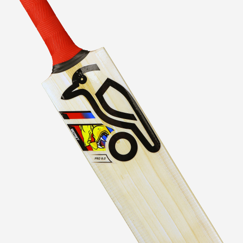 BEAST PRO 9.0 JUNIOR CRICKET BAT