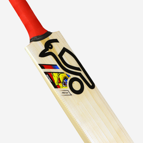 BEAST PRO 9.0 JUNIOR CRICKET BAT