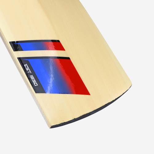 BEAST PRO 9.0 JUNIOR CRICKET BAT