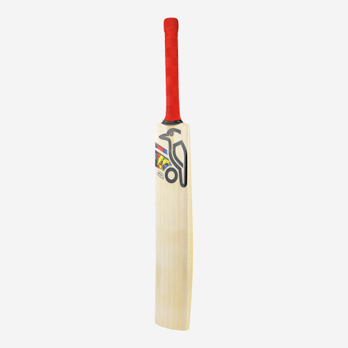 BEAST PRO 9.0 JUNIOR CRICKET BAT