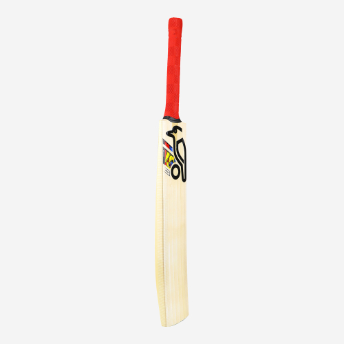 BEAST PRO 9.0 JUNIOR CRICKET BAT