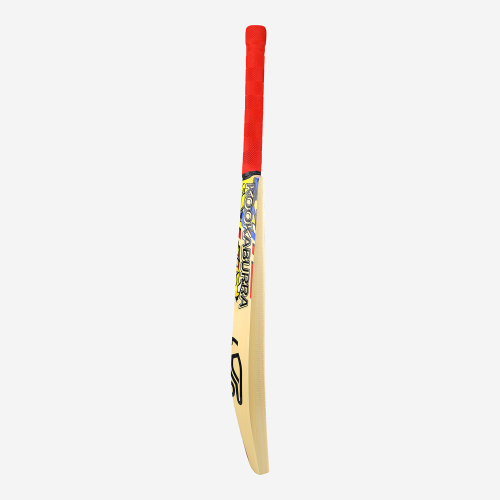 BEAST PRO 9.0 JUNIOR CRICKET BAT