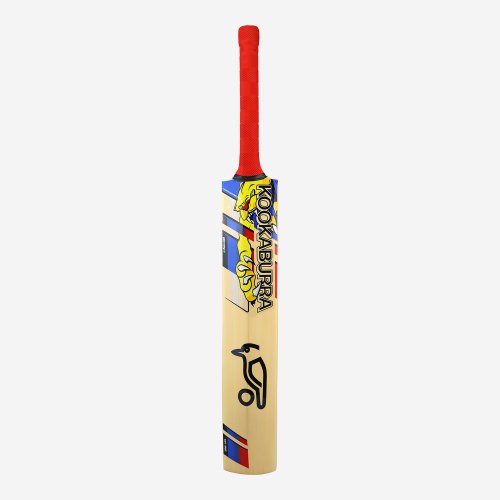 BEAST PRO 9.0 JUNIOR CRICKET BAT