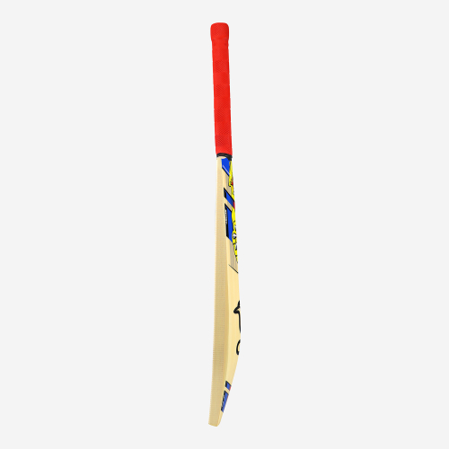 BEAST PRO 9.0 JUNIOR CRICKET BAT