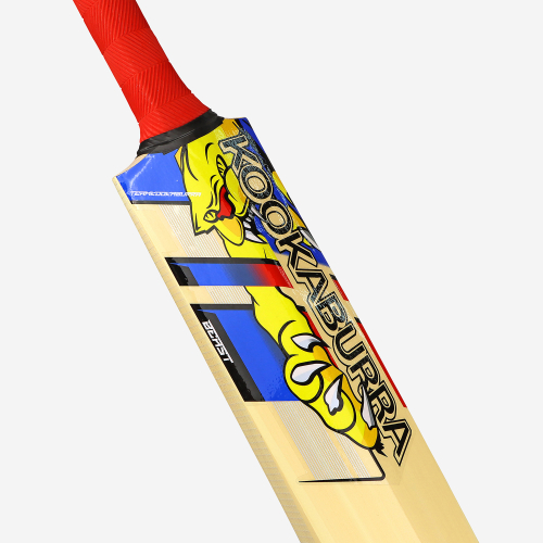 BEAST PRO 9.0 JUNIOR CRICKET BAT