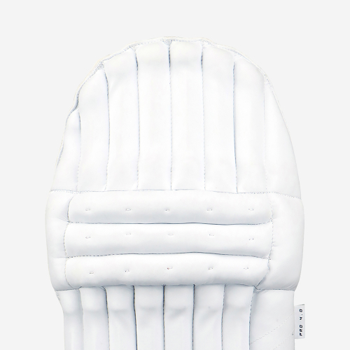 Pro 4.0 Classic Batting Pads