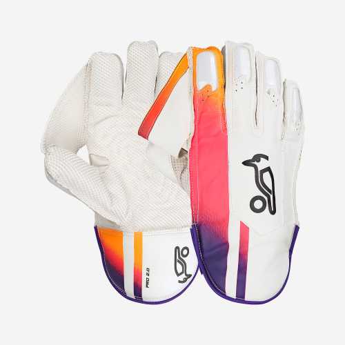 Pro 2.0 Wicket Keeping Gloves