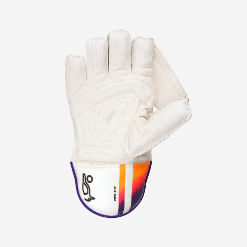 Pro 2.0 Wicket Keeping Gloves