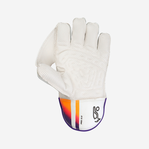 Pro 2.0 Wicket Keeping Gloves