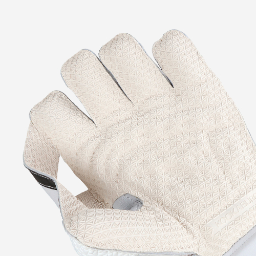 Pro Players LC Wicket Keeping Gloves