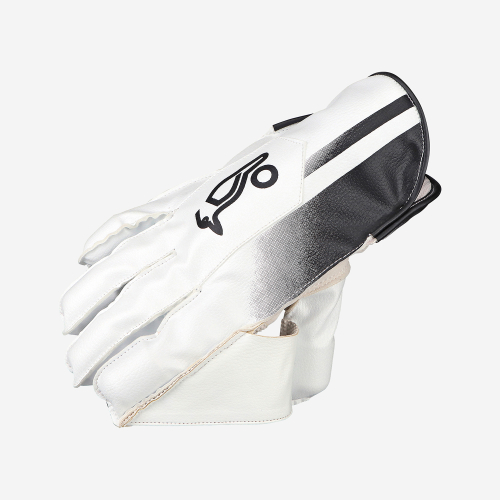 PRO 3.0 WICKET KEEPING GLOVES