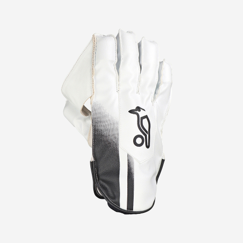 PRO 3.0 WICKET KEEPING GLOVES