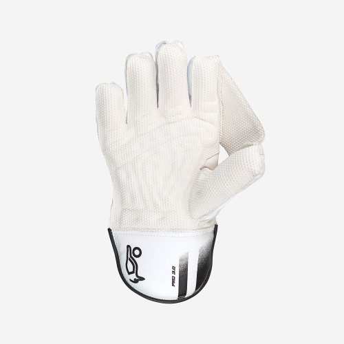 PRO 3.0 WICKET KEEPING GLOVES