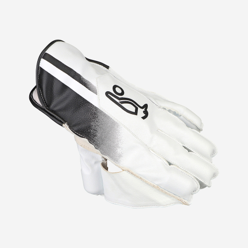 PRO 3.0 WICKET KEEPING GLOVES