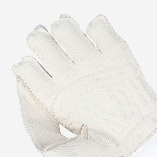 PRO 3.0 WICKET KEEPING GLOVES