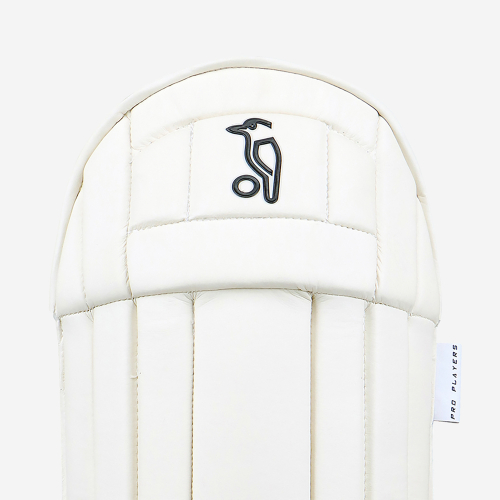 Pro Players Wicket Keeping Pads