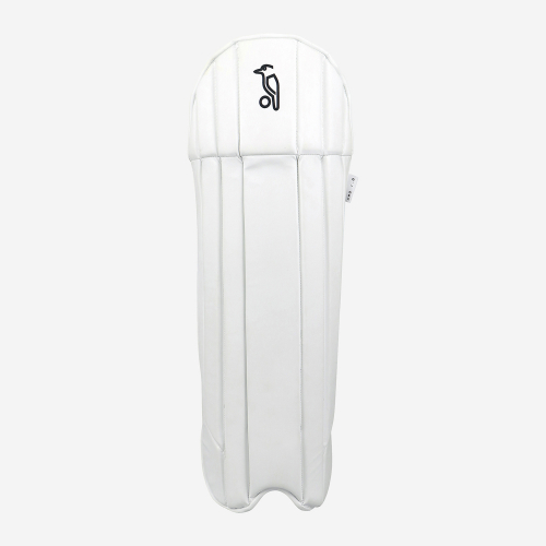 Pro 1.0 Wicket Keeping Pads