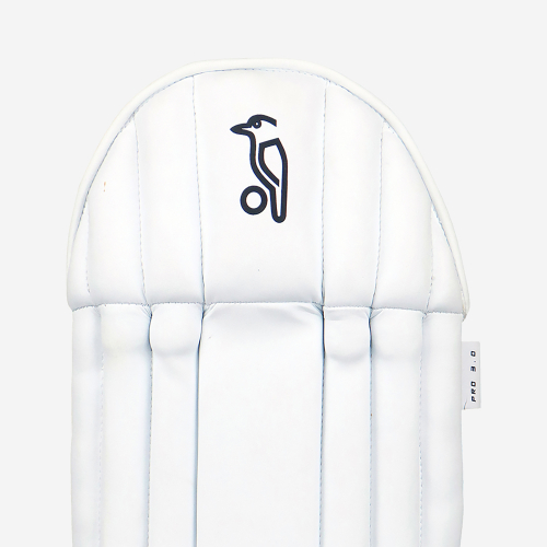 Pro 3.0 Wicket Keeping Pads