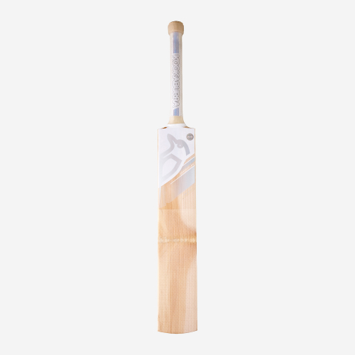 CONCEPT 22 PRO 6.0 JUNIOR CRICKET BAT