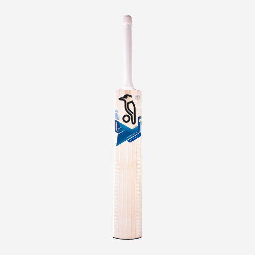 EMPOWER PRO 7.0 JUNIOR CRICKET BAT