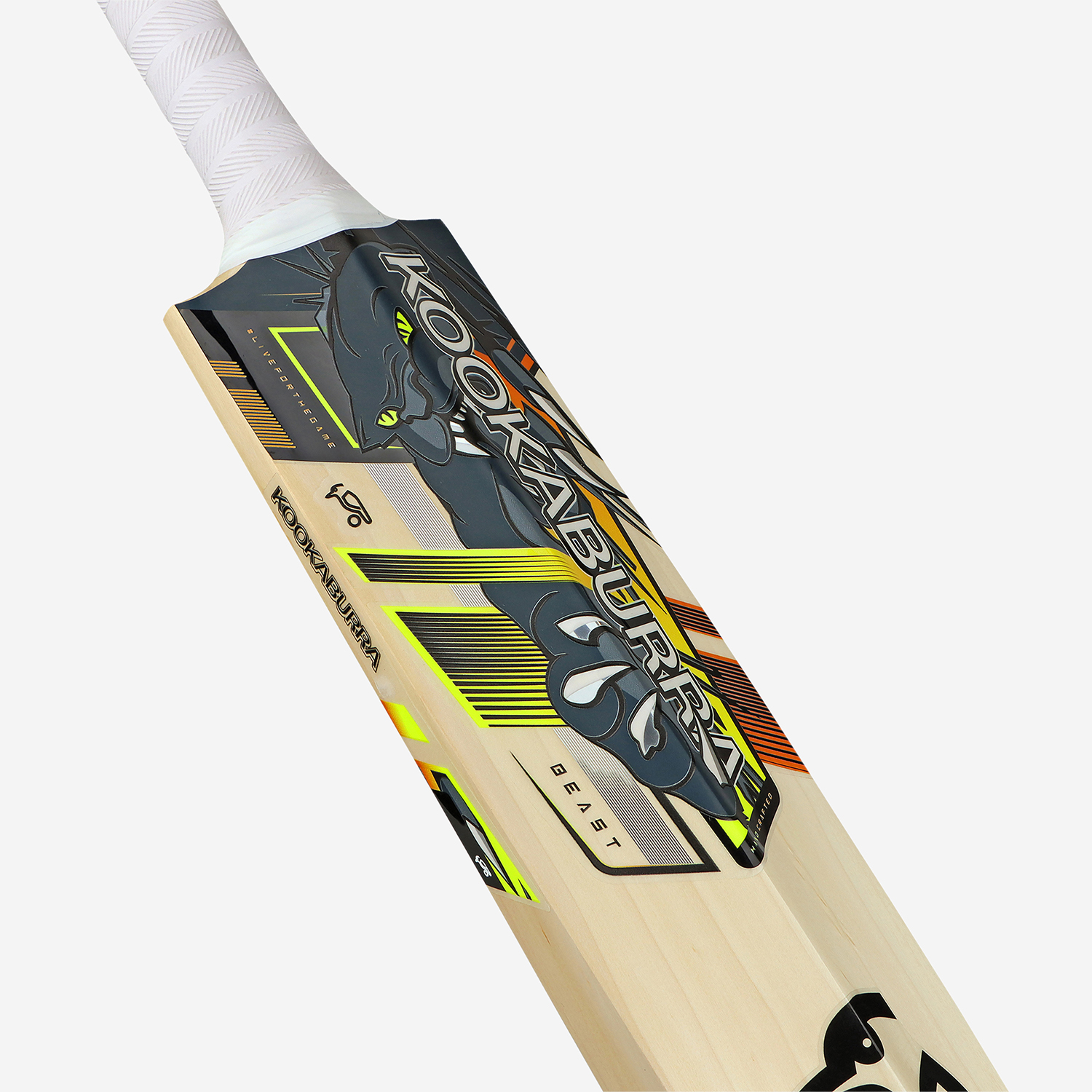 Pro 2.0 Beast Junior Cricket Bat