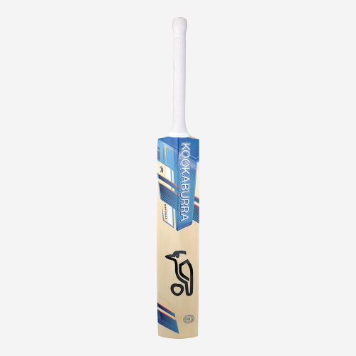 Pro 3.0 Empower Senior Cricket Bat