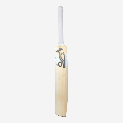 GHOST PRO 4.0 SENIOR CRICKET BAT