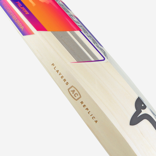 Alex Carey Players Players Edition Cricket Bat