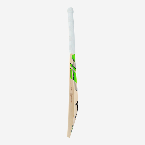 Alyssa Healy Players Players Edition Cricket Bat