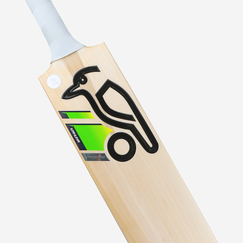 Alyssa Healy Players Players Edition Cricket Bat