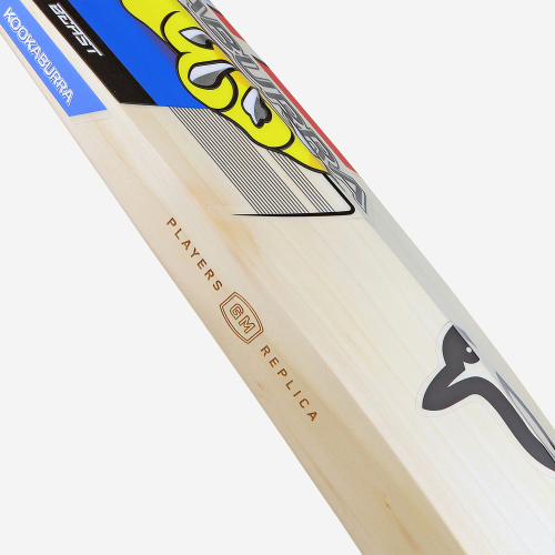 Glenn Maxwell Players Players Edition Cricket Bat