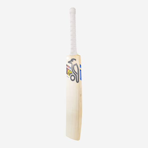 Glenn Maxwell Players Players Edition Cricket Bat