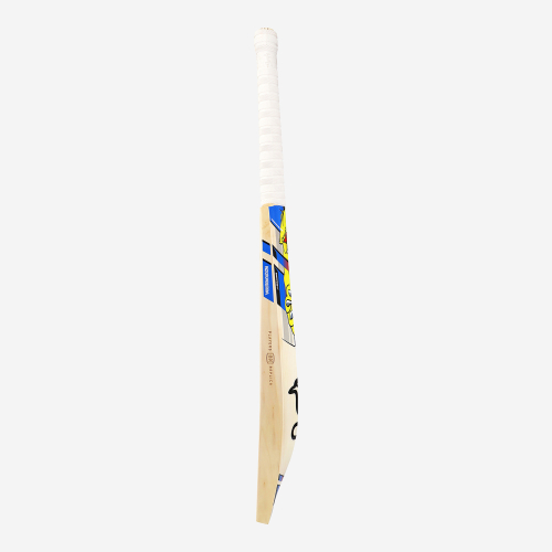 Glenn Maxwell Players Players Edition Cricket Bat