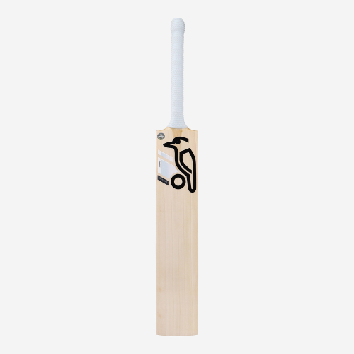 Phoebe Litchfield Players Edition Cricket Bat