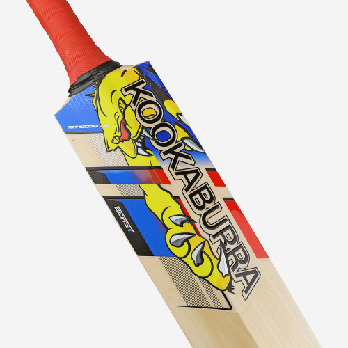 BEAST PRO PLAYERS SENIOR CRICKET BAT