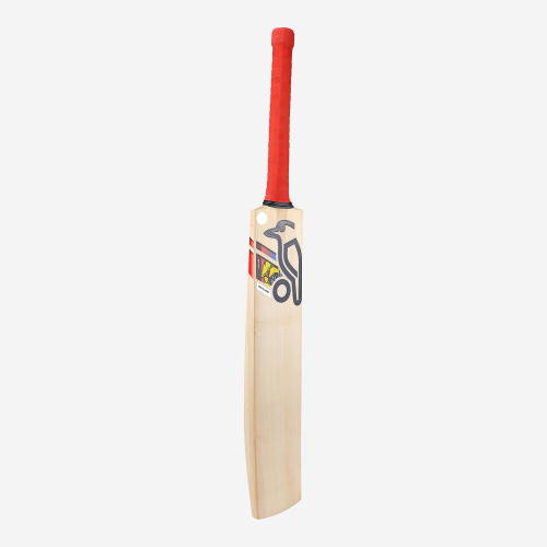 BEAST PRO PLAYERS SENIOR CRICKET BAT