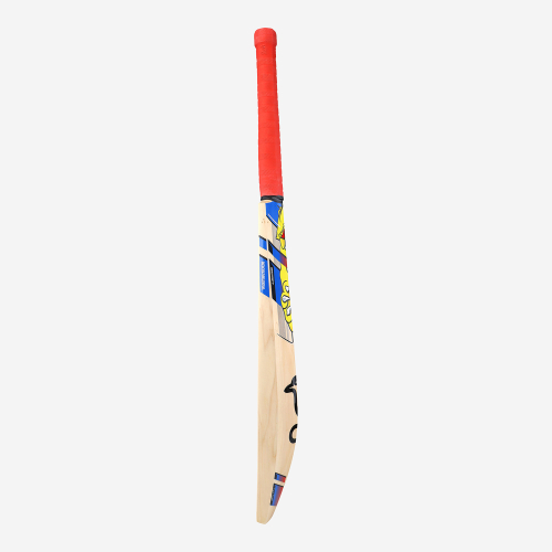 BEAST PRO PLAYERS SENIOR CRICKET BAT