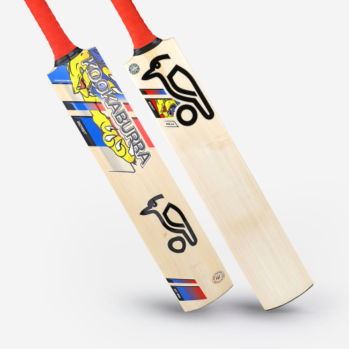 BEAST PRO 2.0 JUNIOR CRICKET BAT