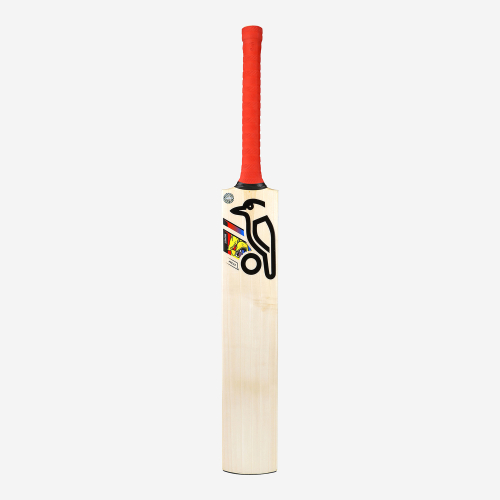 BEAST PRO 2.0 JUNIOR CRICKET BAT