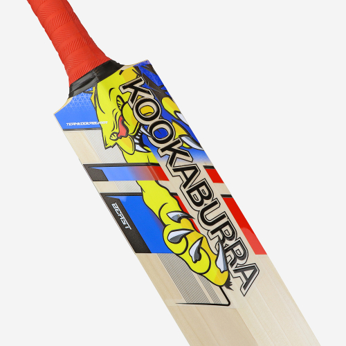 BEAST PRO 2.0 JUNIOR CRICKET BAT