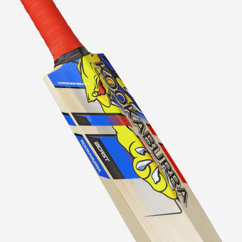 BEAST PRO 2.0 JUNIOR CRICKET BAT