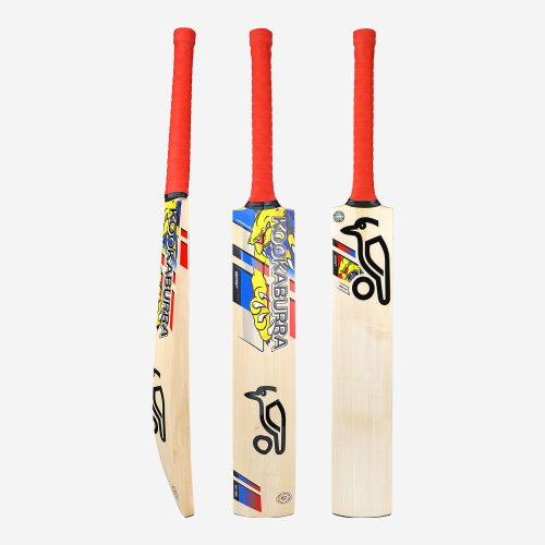 BEAST PRO 2.0 JUNIOR CRICKET BAT