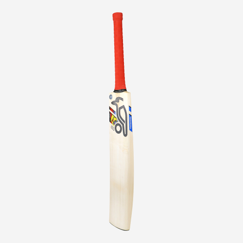 BEAST PRO 2.0 JUNIOR CRICKET BAT