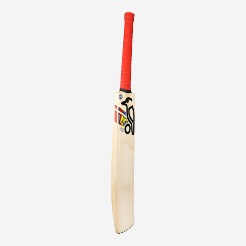 BEAST PRO 2.0 JUNIOR CRICKET BAT