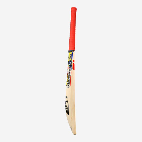 BEAST PRO 2.0 JUNIOR CRICKET BAT