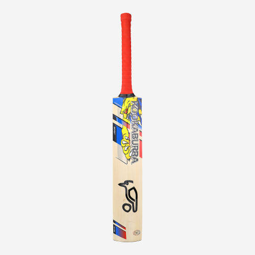 BEAST PRO 2.0 JUNIOR CRICKET BAT