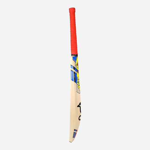 BEAST PRO 2.0 JUNIOR CRICKET BAT