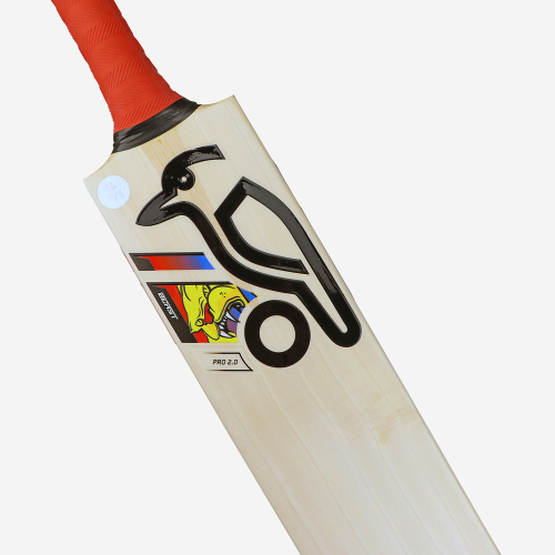 BEAST PRO 2.0 JUNIOR CRICKET BAT