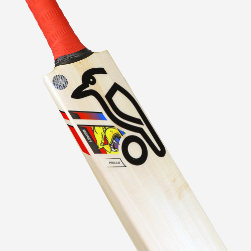 BEAST PRO 2.0 JUNIOR CRICKET BAT