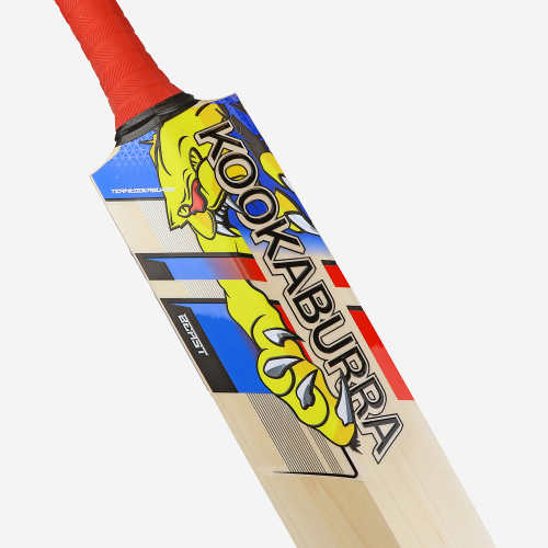 BEAST PRO 4.0 SENIOR CRICKET BAT